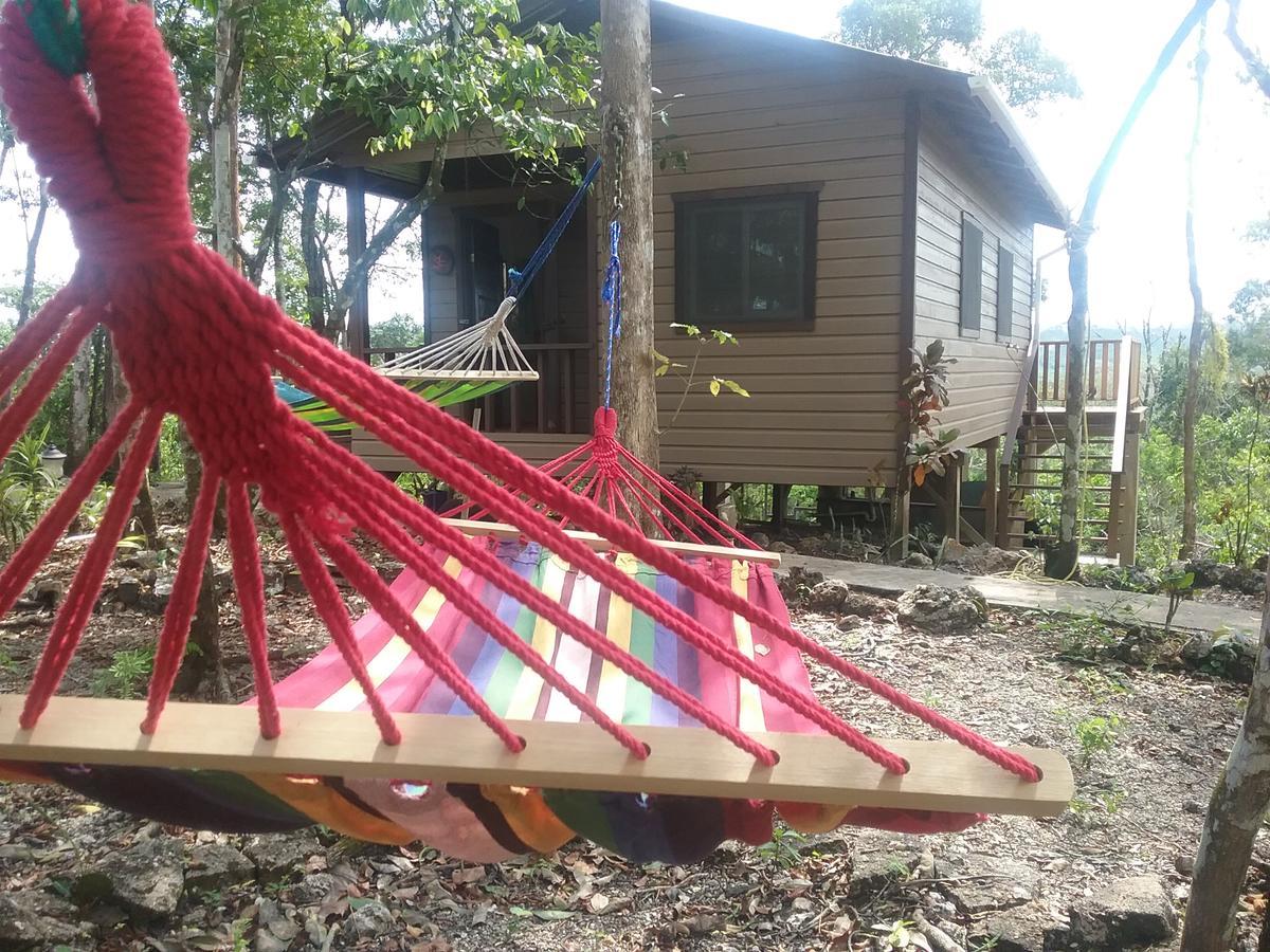 Hostel Hidden Haven Unitedville Exterior foto