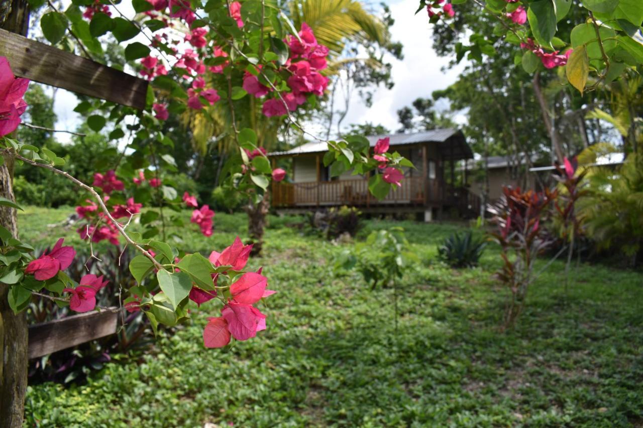 Hostel Hidden Haven Unitedville Exterior foto